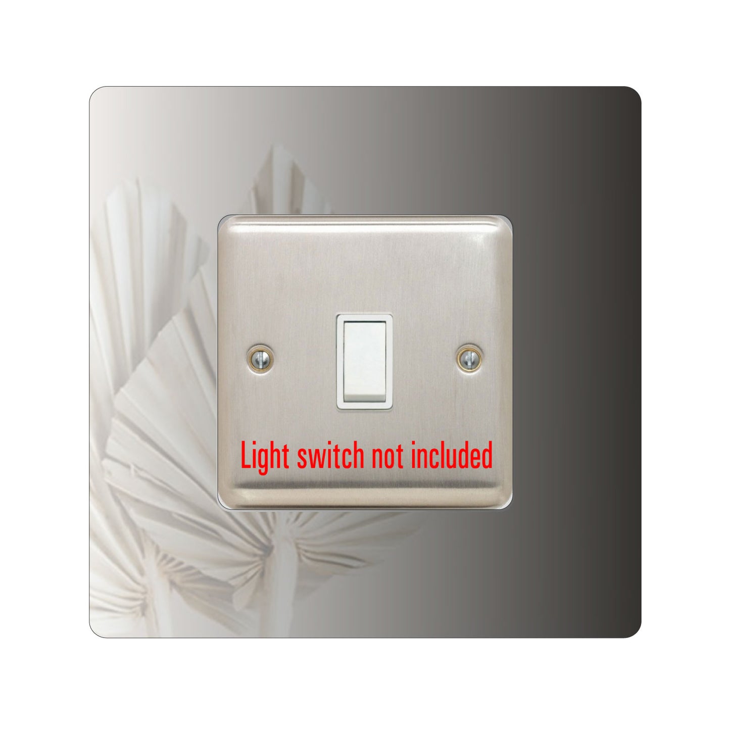 acrylic single light switch surround